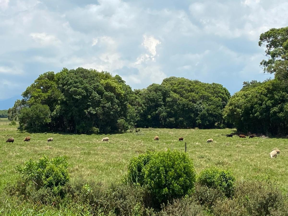 Haras Trevo De Ferro, Praia, Piscina E Campo トーレス エクステリア 写真
